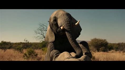 grimsby elephant scene|Elephants need love too See the extended elephant scene when。